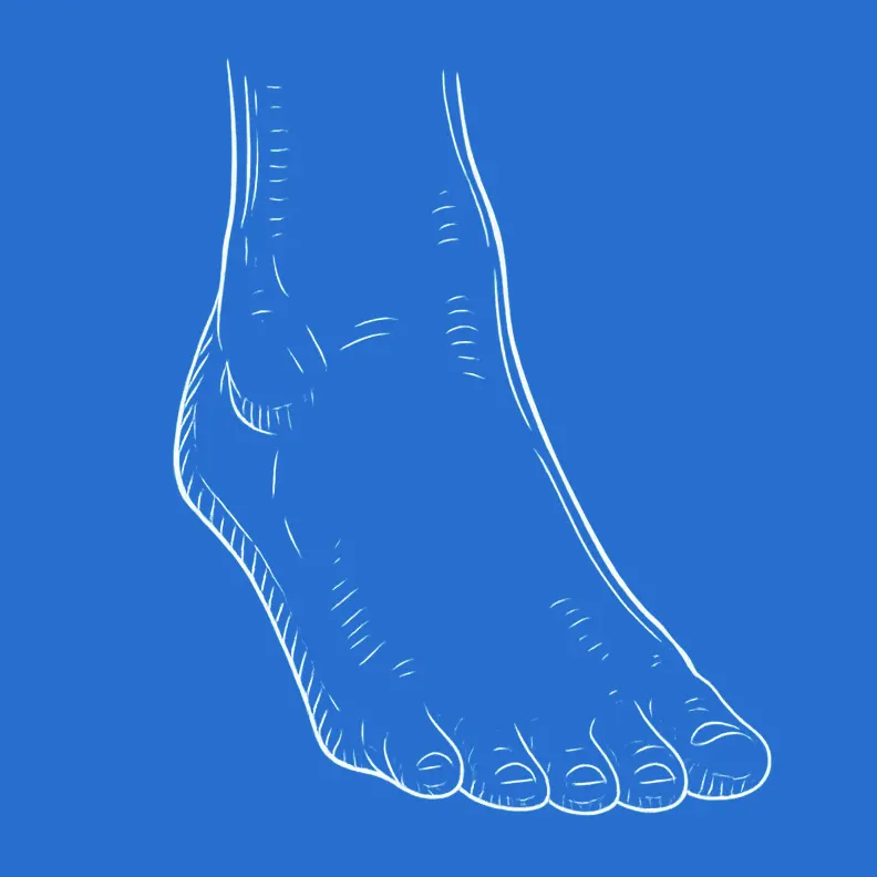 پودولوژی چیست؟